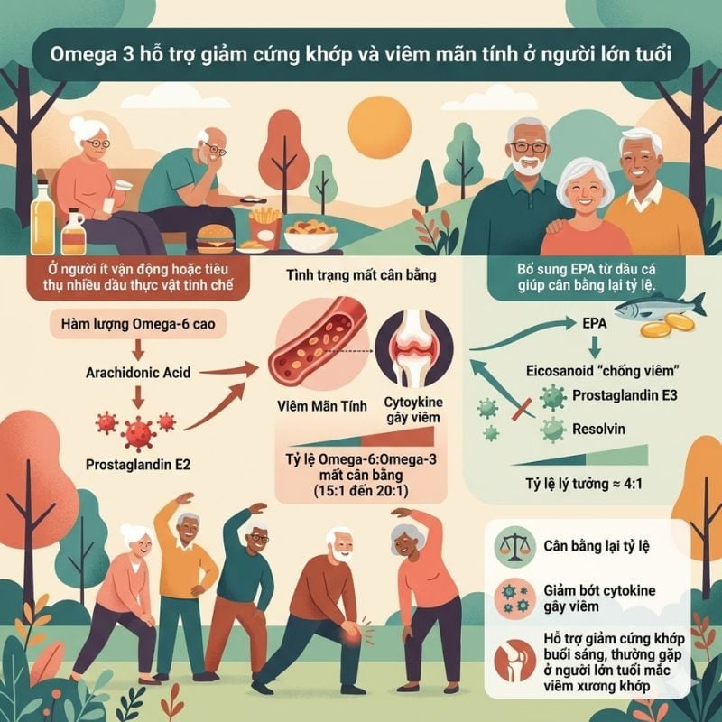 nhathuocvietnhat.vn- Omega 3 hỗ trợ giảm viêm mãn tính và cải thiện các triệu chứng cứng khớp, đau khớp, đặc biệt hiệu quả với người lớn tuổi.