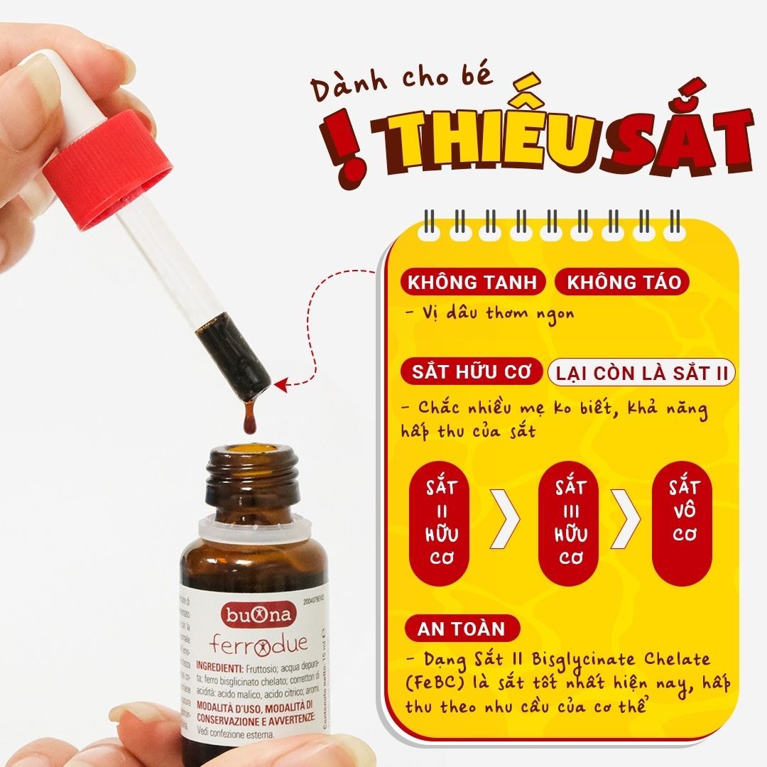 nhathuocvietnhat.vn -Ferrodue bổ sung Sắt II Bisglycinate Chelate giúp bé hấp thu sắt hiệu quả, không gây táo bón cho trẻ