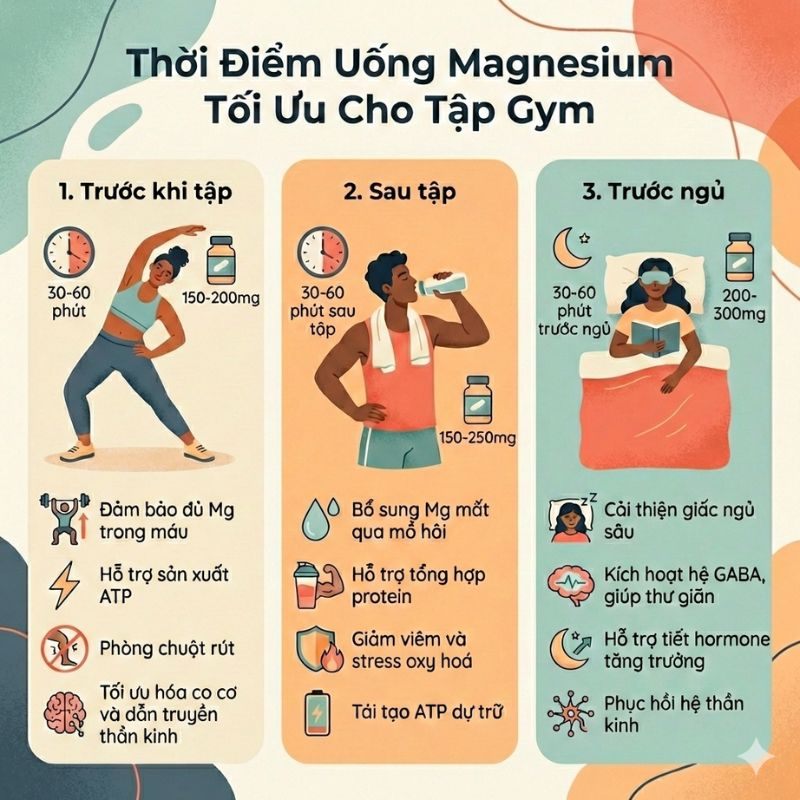 nhathuocvietnhat.vn - Thời điểm uống magnesium tối ưu cho người tập gym