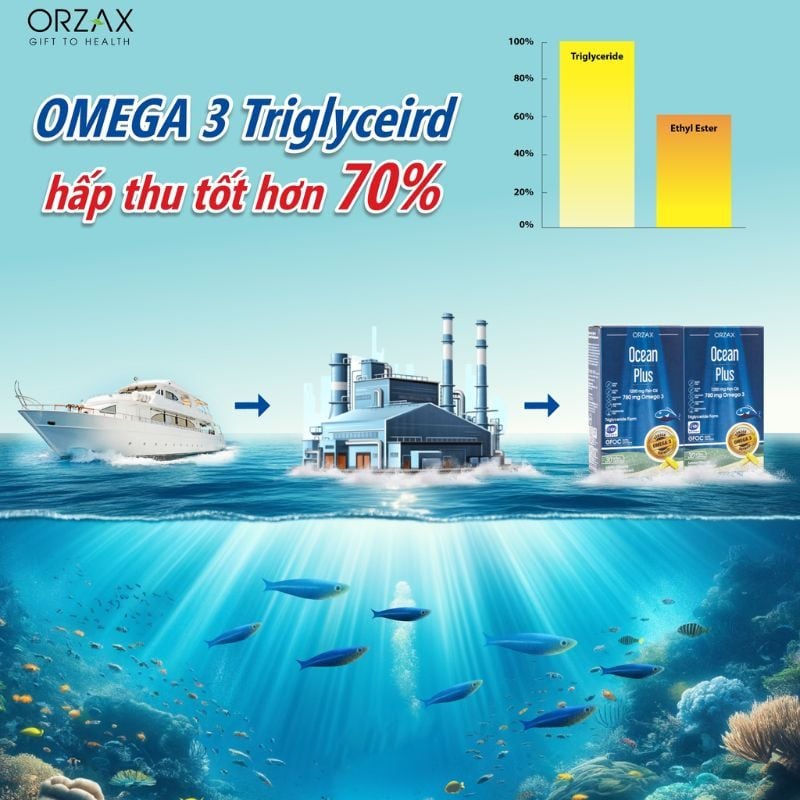 nhathuocvietnhat.vn - Ocean Plus bổ sung Omega 3 dạng triglycerid giúp cơ thể dễ dàng hấp thu tốt hơn tới 70% so với dạng Ethyl Ester.