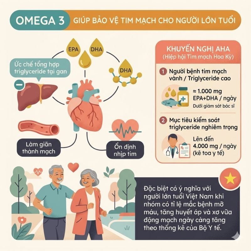 nhathuocvietnhat.vn- Omega 3 (đặc biệt là EPA và DHA) là dưỡng chất thiết yếu giúp bảo vệ tim mạch người lớn tuổi