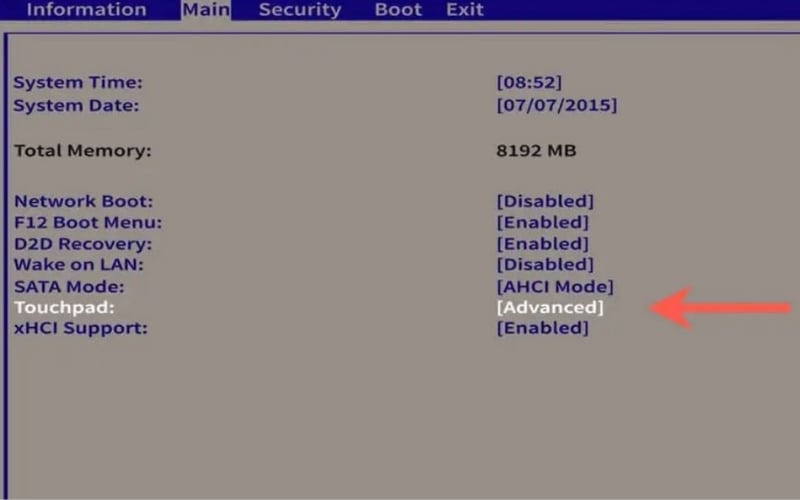 Nếu đang ở Basic, hãy chuyển sang Advanced để kích hoạt các tính năng