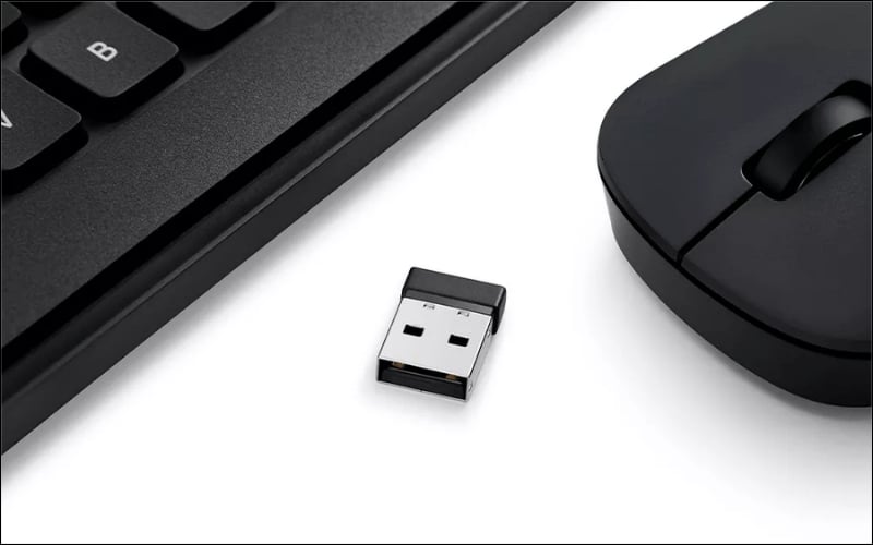 Thử rút hết các thiết bị chuột rời và bộ thu USB không dây ra khỏi máy