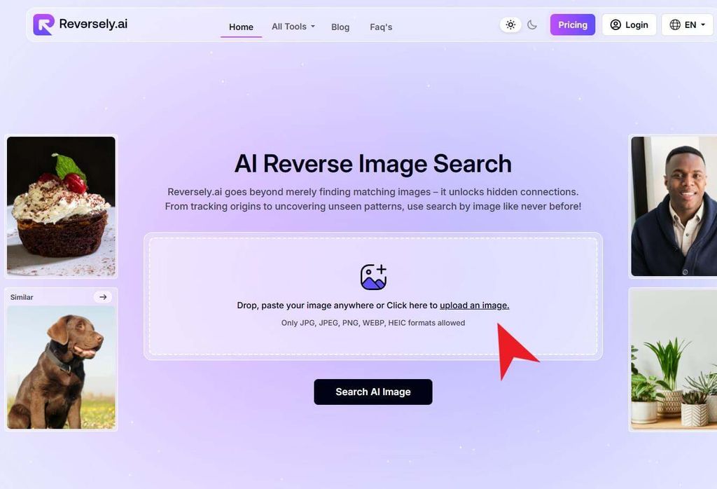 Tìm kiếm hình ảnh bằng Reversely.ai - GEARVN