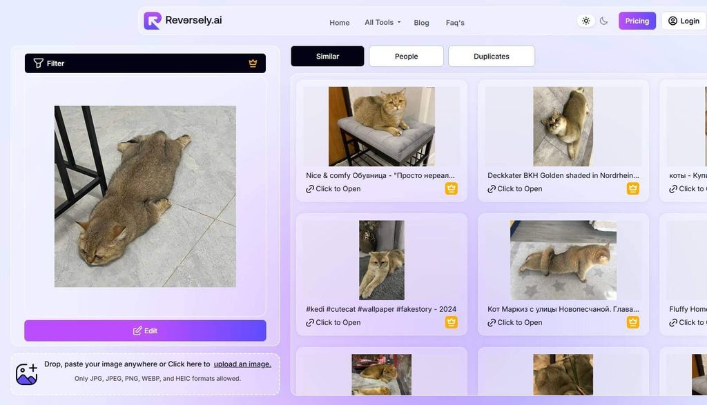 Tìm kiếm hình ảnh bằng Reversely.ai - GEARVN