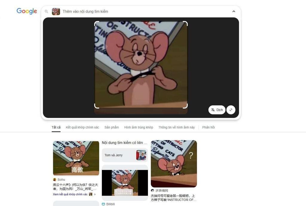 Tìm kiếm hình ảnh trên Google - GEARVN