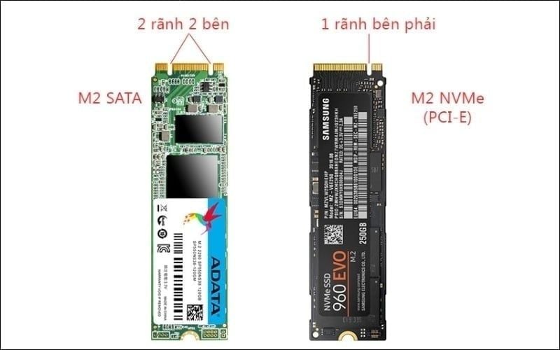 NVMe thường dùng M-Key 1 rãnh, còn SATA thường dùng B+M Key 2 rãnh