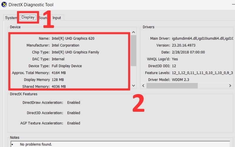 Trong cửa sổ DirectX Diagnostic Tool, bạn hãy chuyển sang tab Display