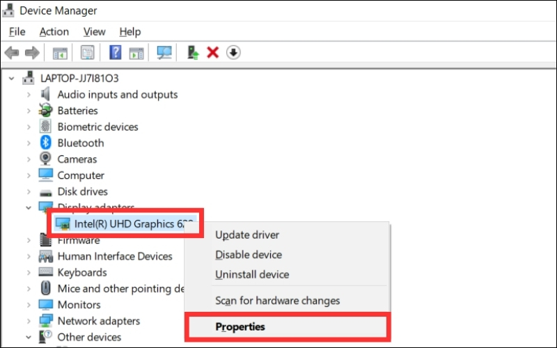 Tên của card màn hình bạn đang sử dụng sẽ được hiển thị ngay bên dưới