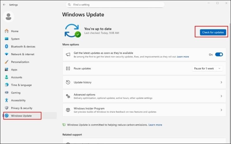 Chọn Check for updates để kiểm tra các bản cập nhật mới