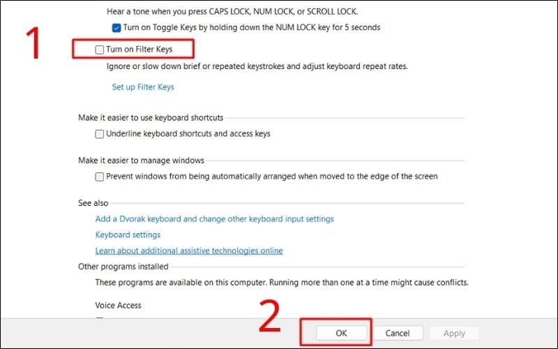 Bỏ dấu tích tại ô Turn on Filter Keys và chọn OK