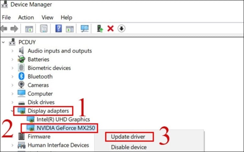 Cập nhật driver card đồ họa