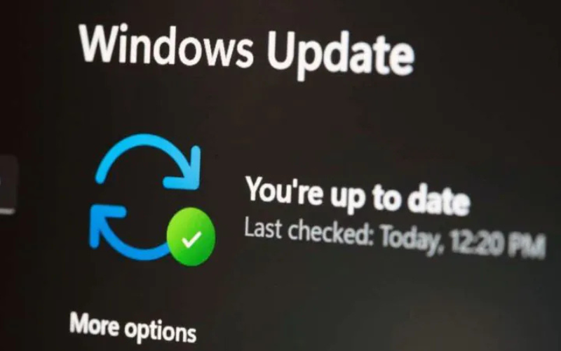 Chạy Windows Update ngay sau khi vào desktop