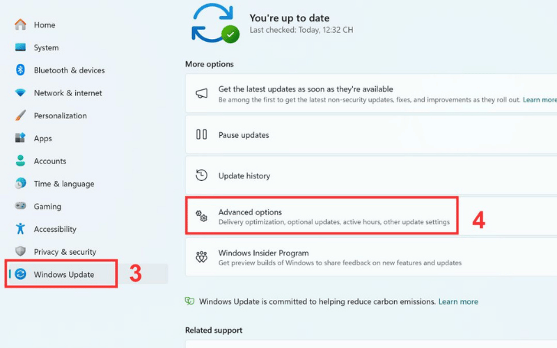 Chọn Windows Update rồi vào Advance options