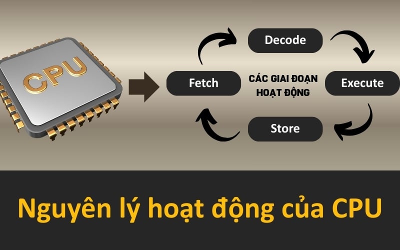 Nguyên lý hoạt động của CPU