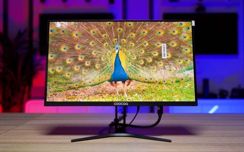 Full HD vẫn là lựa chọn phổ biến nhất vì cân bằng tốt giữa chất lượng hình ảnh và yêu cầu phần cứng