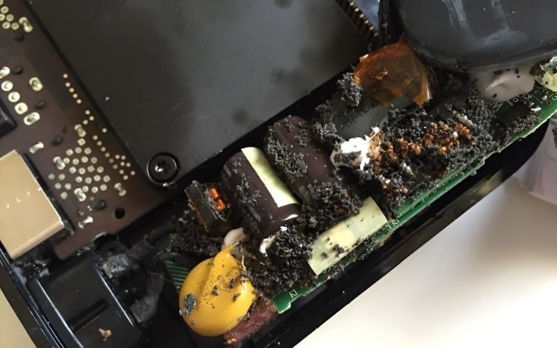 Việc vệ sinh côn trùng làm tổ trong laptop nên được tiến hành bởi kỹ thuật viên