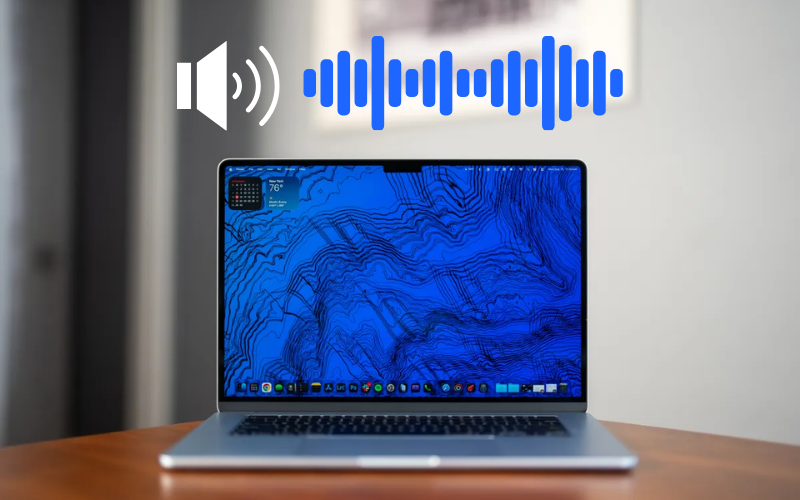 Có hai nguyên nhân là lỗi phần mềm hoặc phần cứng khiến loa bị rè