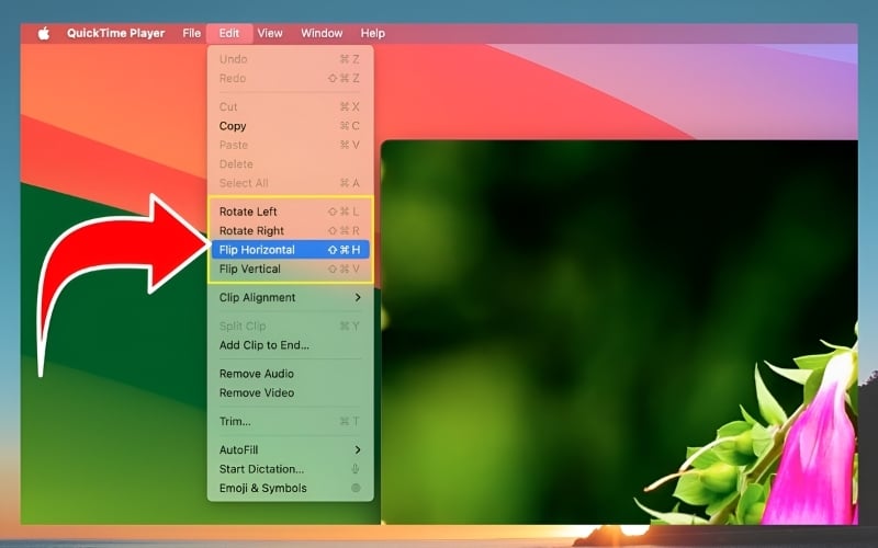 Tại menu Edit của QuickTime, bỏ tick chọn Flip Horizontal