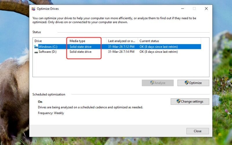 Tại cửa sổ mới, bạn quan sát cột Media type