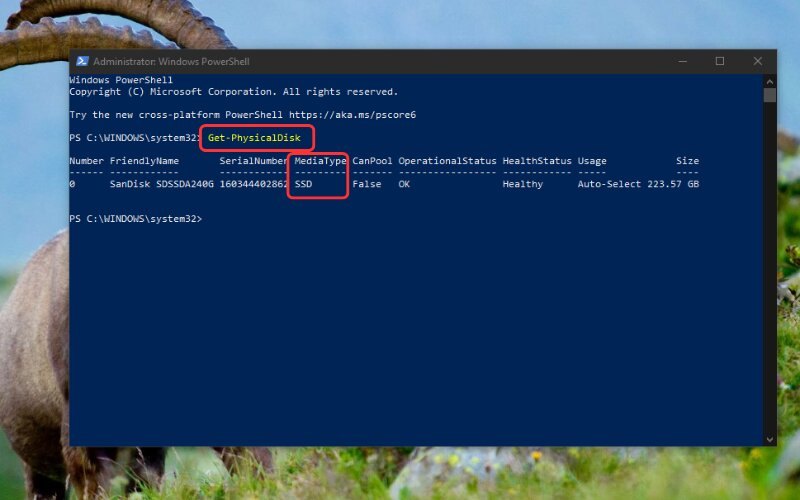 Quan sát cột MediaType để xem dung lượng lưu trữ hiện tại đang chạy trên chuẩn SSD hay HDD