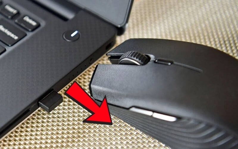 Ngắt tất cả thiết bị đang kết nối như chuột, bàn phím,...