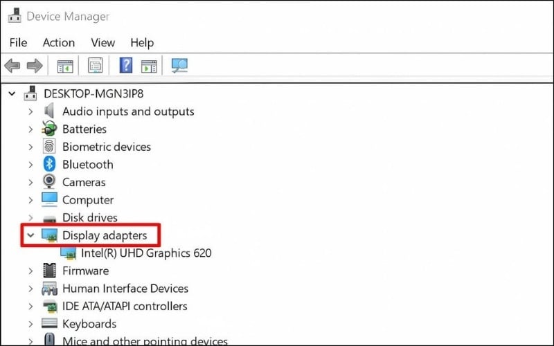 Tìm và mở rộng mục Display adapters