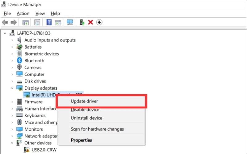 Cập nhật hoặc cài lại driver card đồ họa