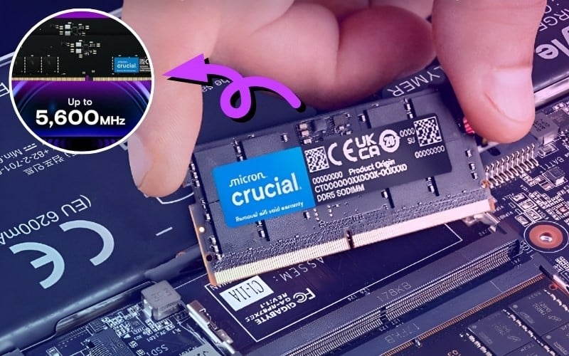 RAM có bus RAM 5600MHz (DDR5) phù hợp cho lập trình viên