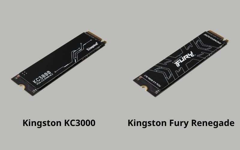 Kingston KC3000 hay Kingston Fury Renegade phù hợp cho dân thiết kế đồ họa