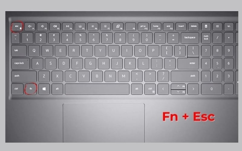 Nhấn đồng thời tổ hợp phím Fn + Esc để đảo ngược chức năng của dãy phím F