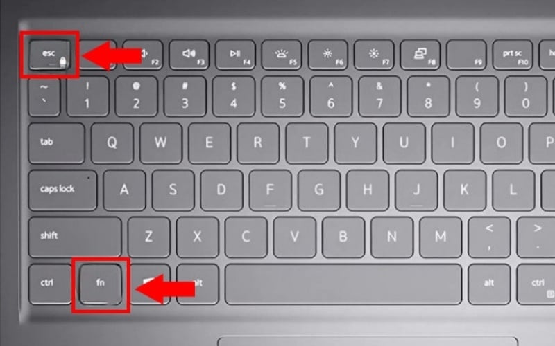 Nếu thấy biểu tượng ổ khóa nhỏ trong phím Esc, nghĩa là máy bạn hỗ trợ Fn Lock vật lý