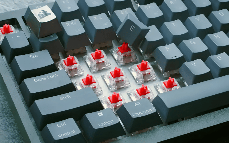 Hot-swap cho phép thay switch dễ hơn