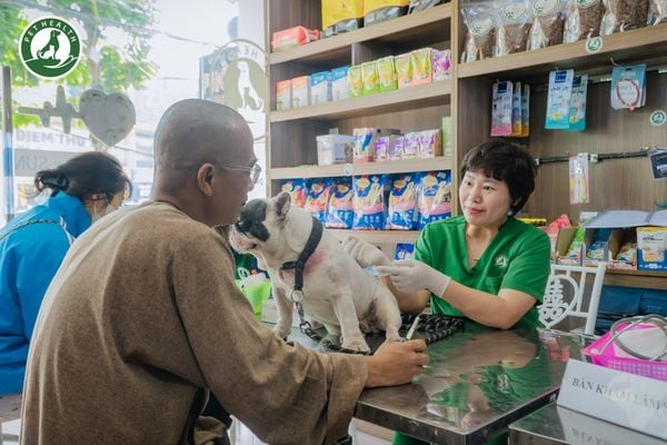 Tiêm phòng đúng lịch sẽ tiết kiệm chi phí hơn so với để thú cưng bị bệnh nặng