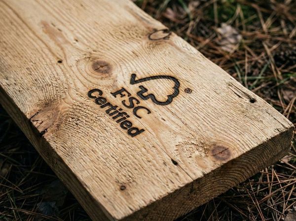 Dấu chứng nhận FSC trên thanh gỗ thông, cam kết nguồn gốc gỗ bền vững.