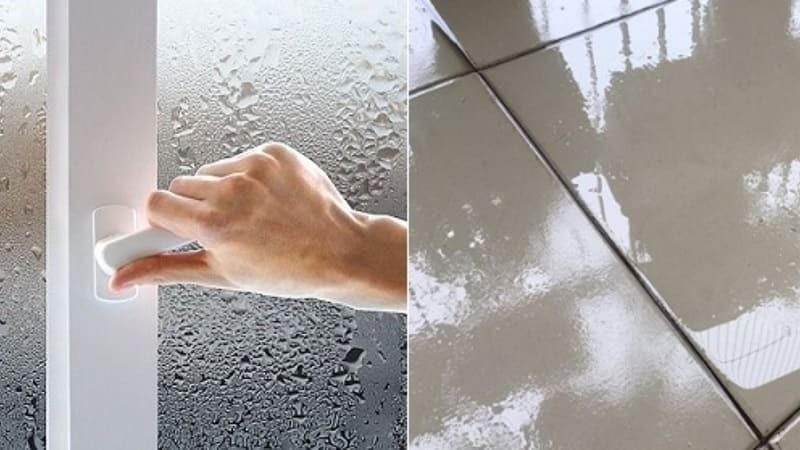 Trời nồm có nên bật quạt không