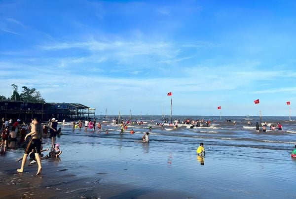 Cồn Vành – Thiên nhiên hoang sơ