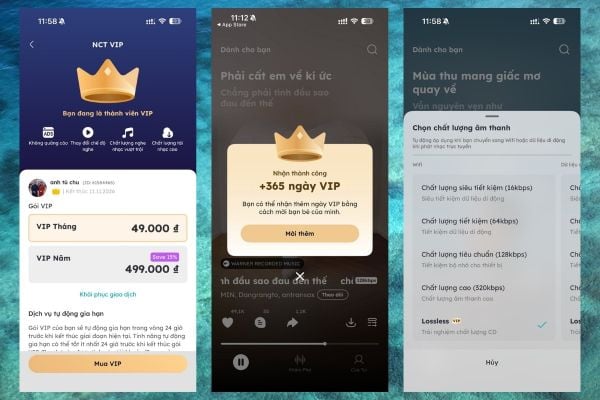 miễn phí 365 ngày VIP Nhạc Của Tui