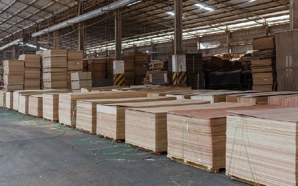 Các dịch vụ nhà sản xuất plywood NHF cung cấp