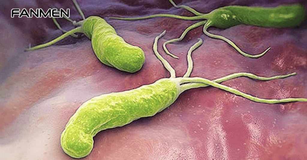 Nhiễm khuẩn Helicobacter pylori (HP)