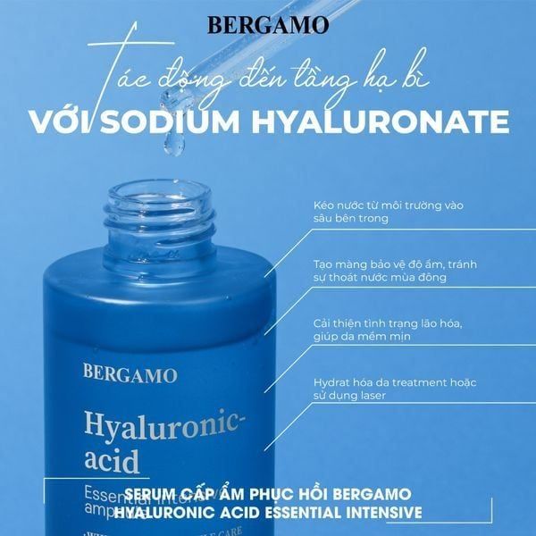 phục hồi da bằng serum Bergamo Hyaluronic Acid Essential Intensive Ampoule