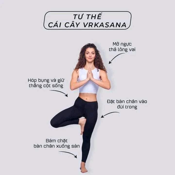 Bắt Đầu Yoga Bằng Sự Hiểu Cơ Thể, Không Phải Bằng Áp Lực