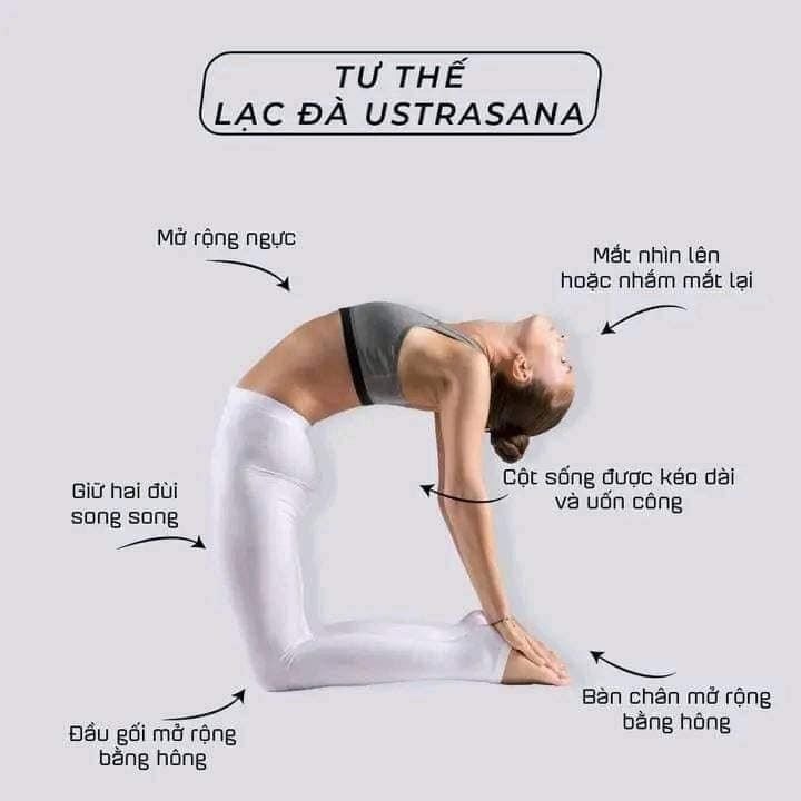 Bắt Đầu Yoga Bằng Sự Hiểu Cơ Thể, Không Phải Bằng Áp Lực