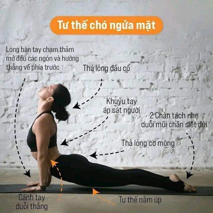 Bắt Đầu Yoga Bằng Sự Hiểu Cơ Thể, Không Phải Bằng Áp Lực