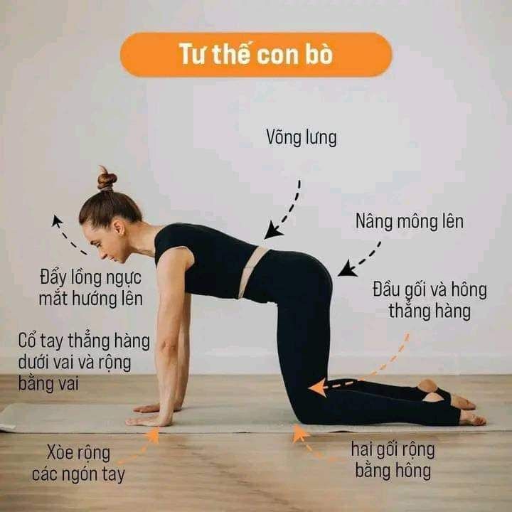 Bắt Đầu Yoga Bằng Sự Hiểu Cơ Thể, Không Phải Bằng Áp Lực