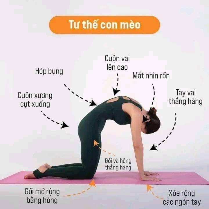 Bắt Đầu Yoga Bằng Sự Hiểu Cơ Thể, Không Phải Bằng Áp Lực