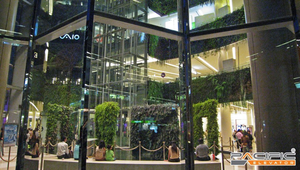 thang máy kính tại trung tâm thương mại