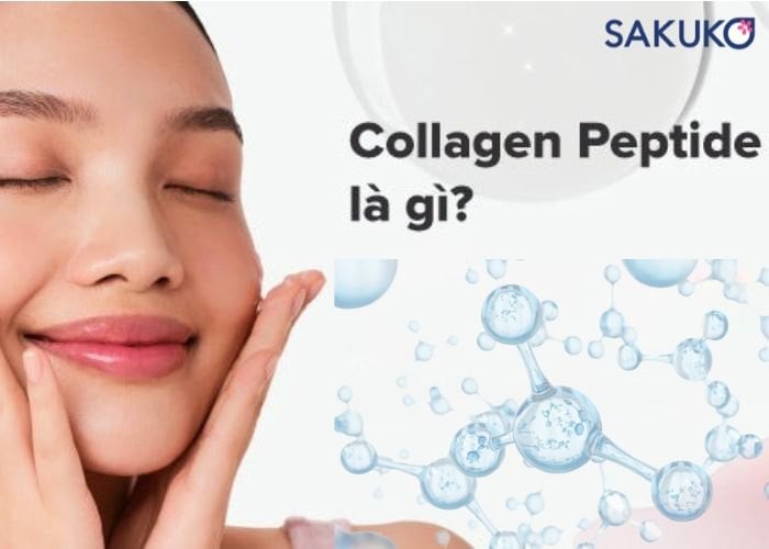 Định nghĩa Collagen Peptide là gì?