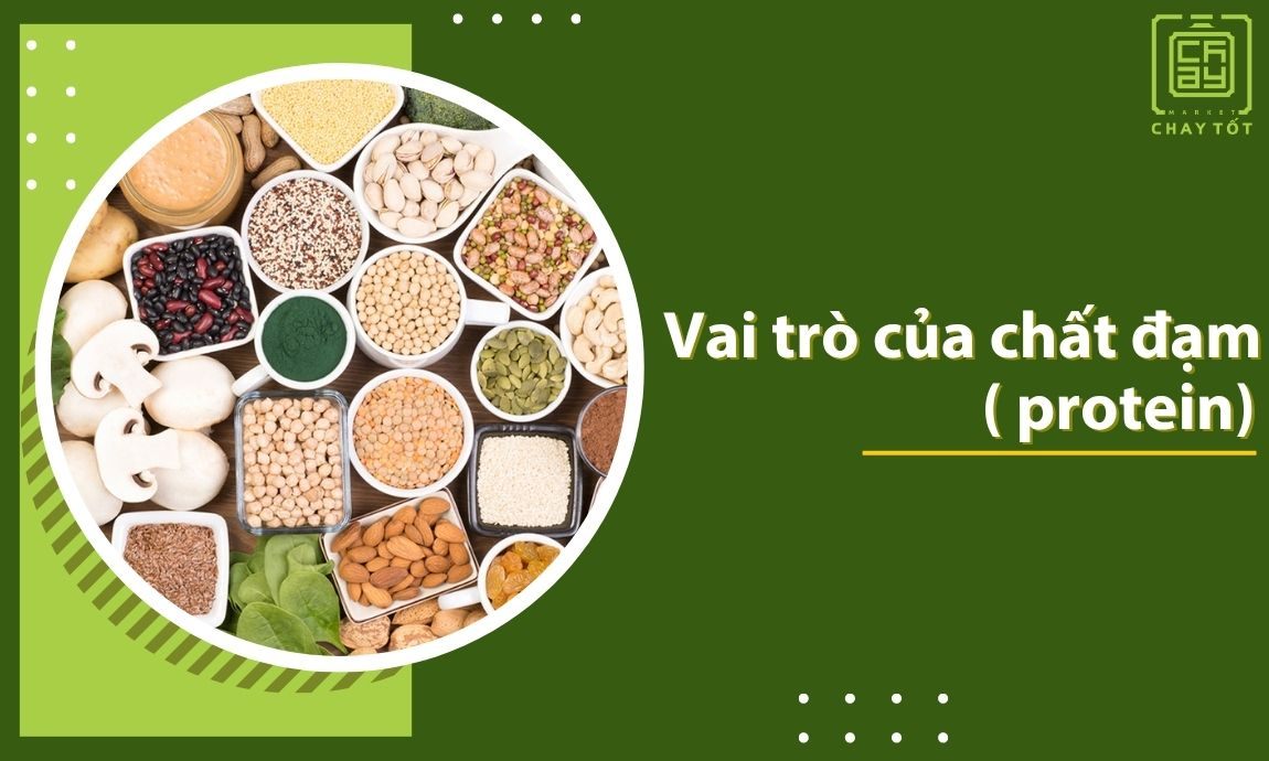 Vai trò của chất đạm đối với cơ thể
