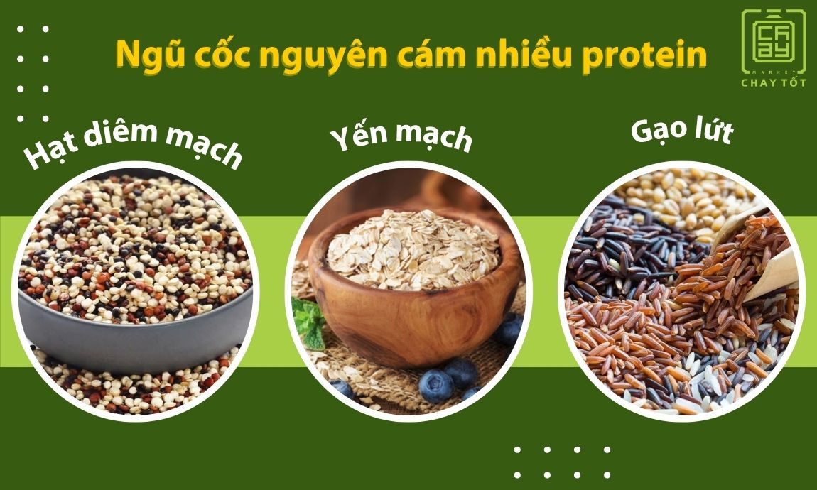 Các ngũ cốc nguyên cám nhiều protein